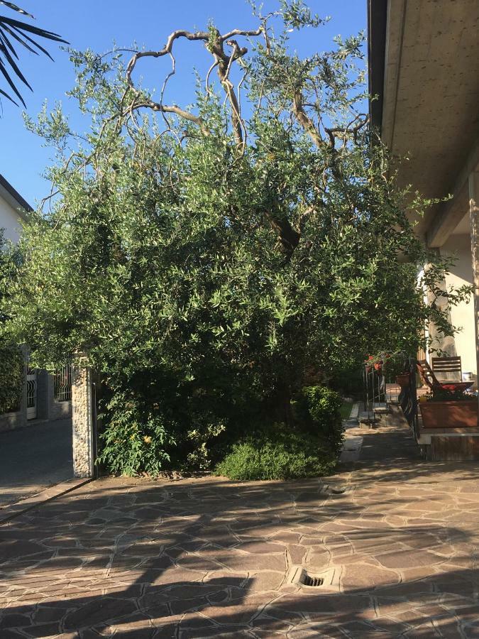 Вілла Celeste'S House Рівольтелла Екстер'єр фото